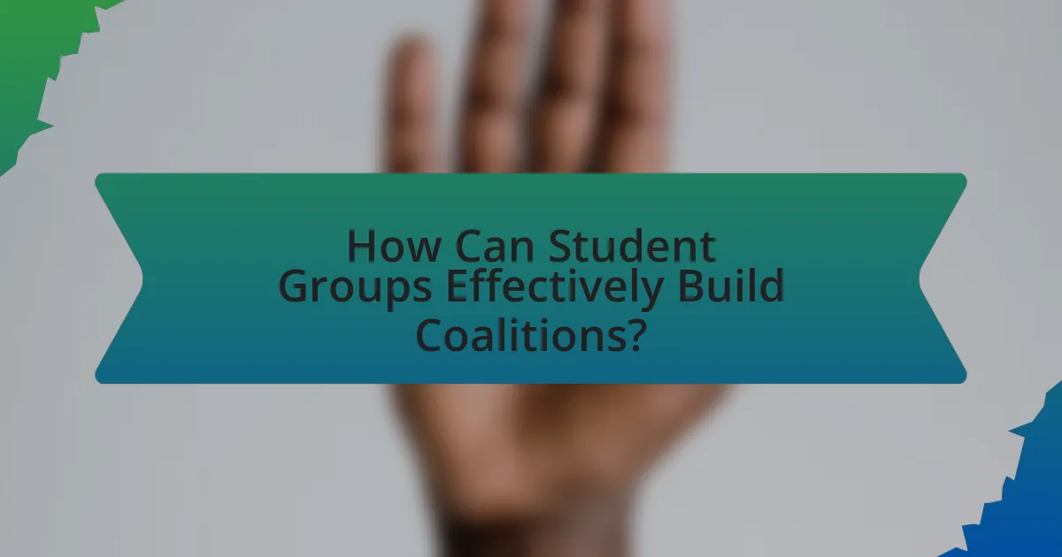 How Can Student Groups Effectively Build Coalitions?