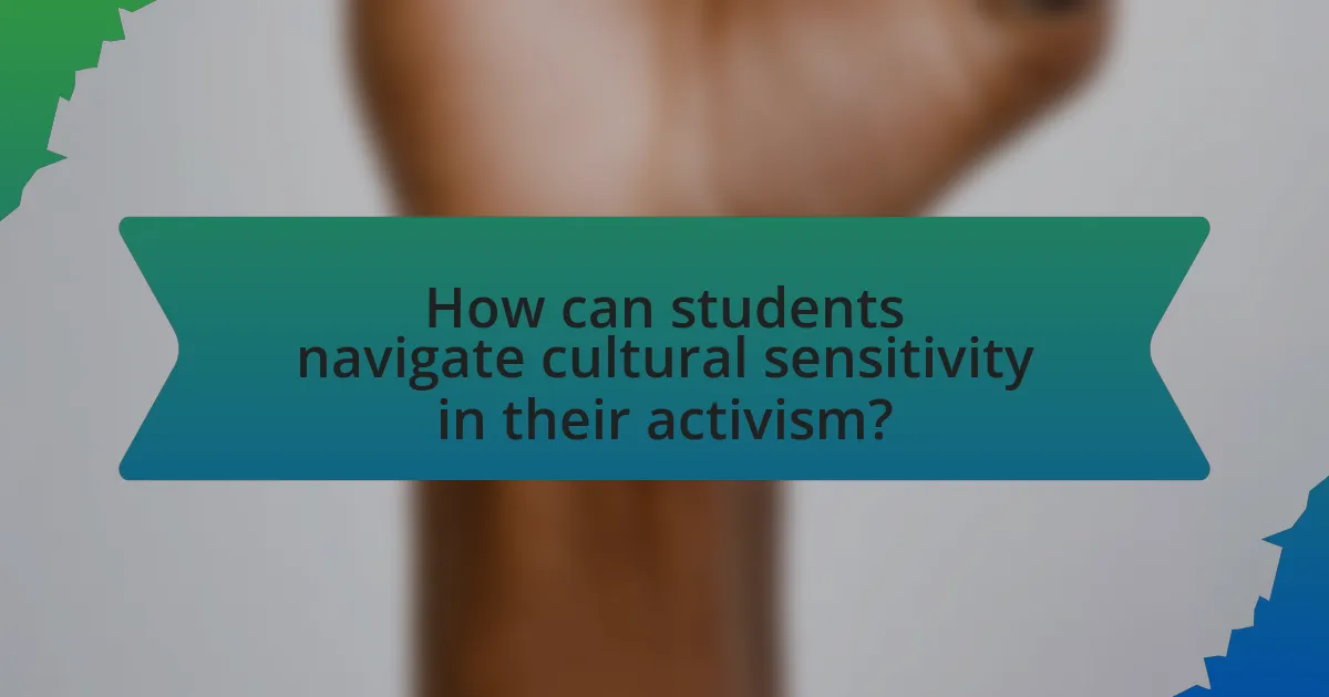 How can students navigate cultural sensitivity in their activism?