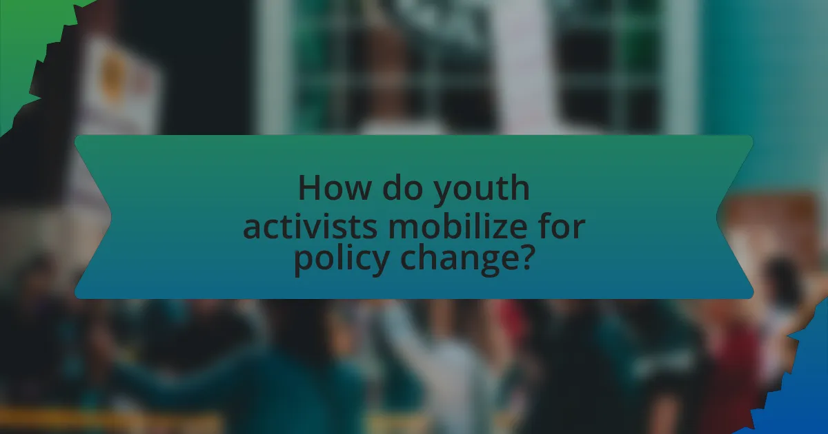 How do youth activists mobilize for policy change?