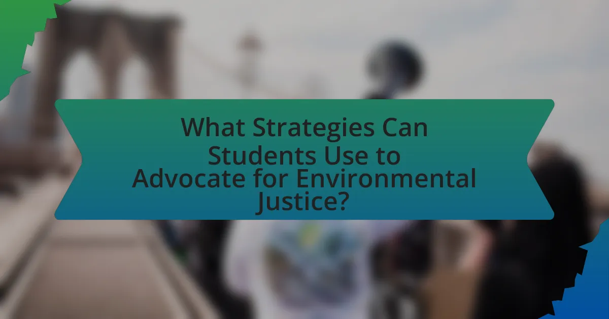 What Strategies Can Students Use to Advocate for Environmental Justice?