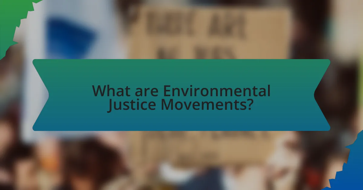 What are Environmental Justice Movements?