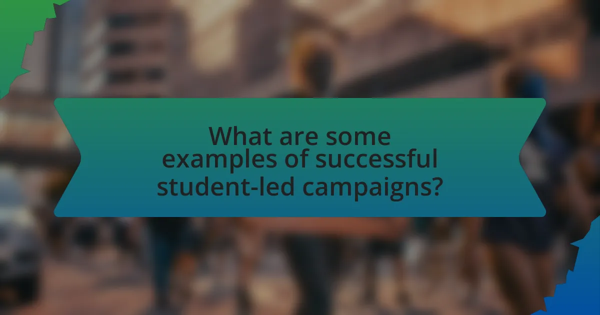 What are some examples of successful student-led campaigns?