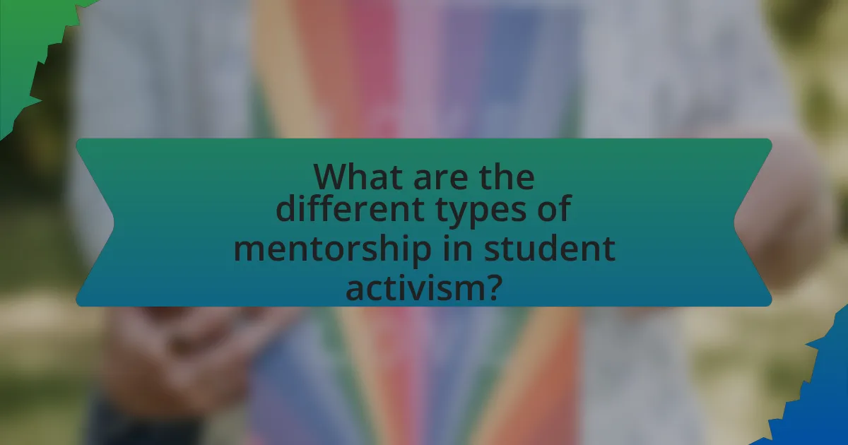 What are the different types of mentorship in student activism?
