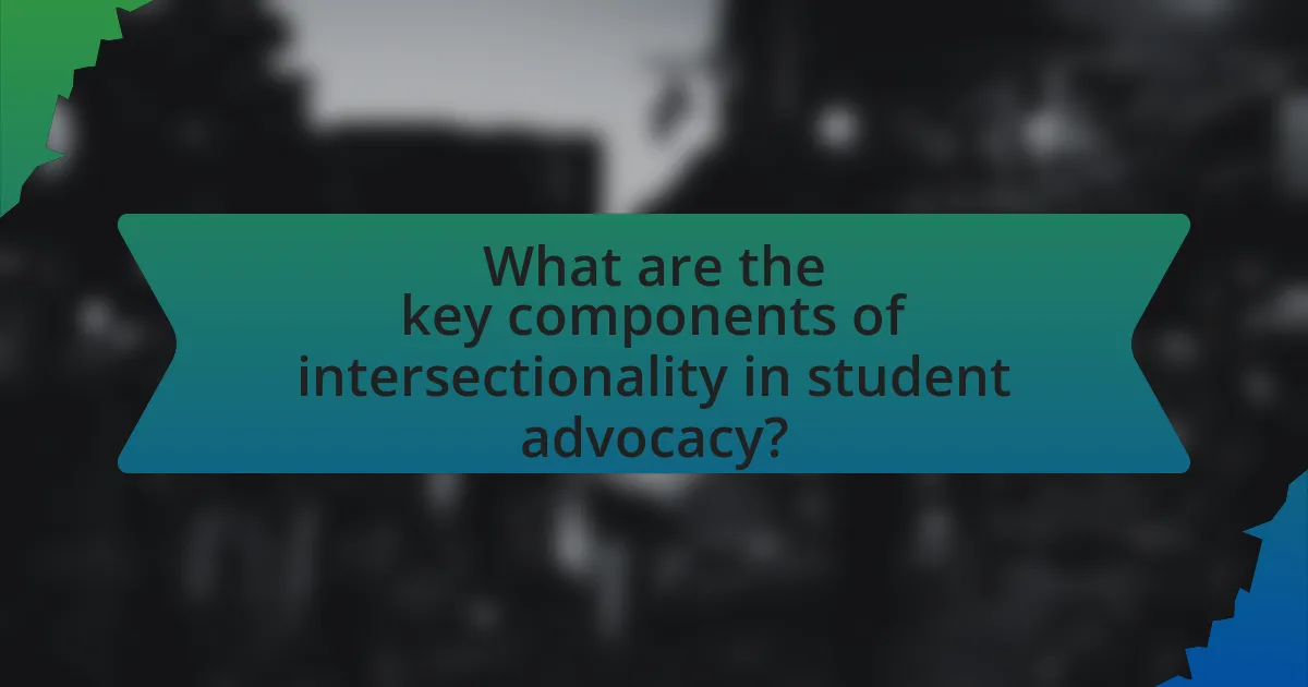 What are the key components of intersectionality in student advocacy?