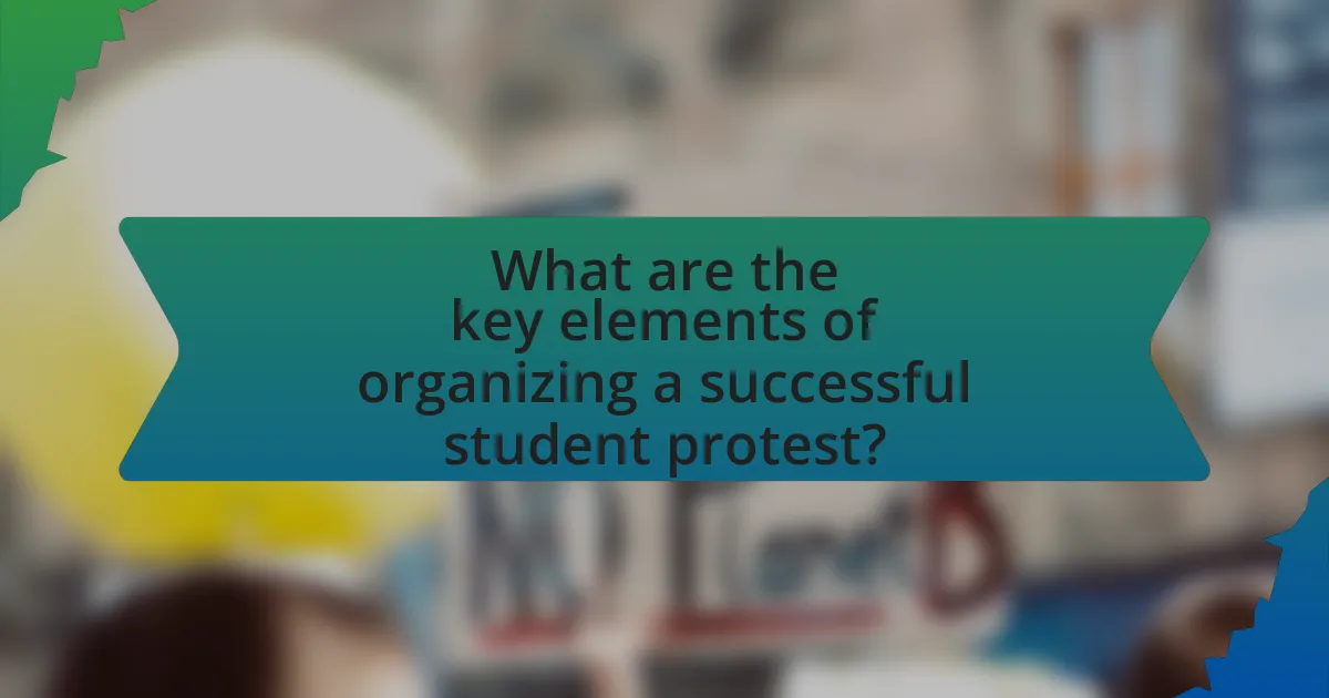 What are the key elements of organizing a successful student protest?