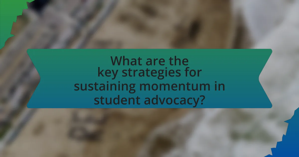 What are the key strategies for sustaining momentum in student advocacy?