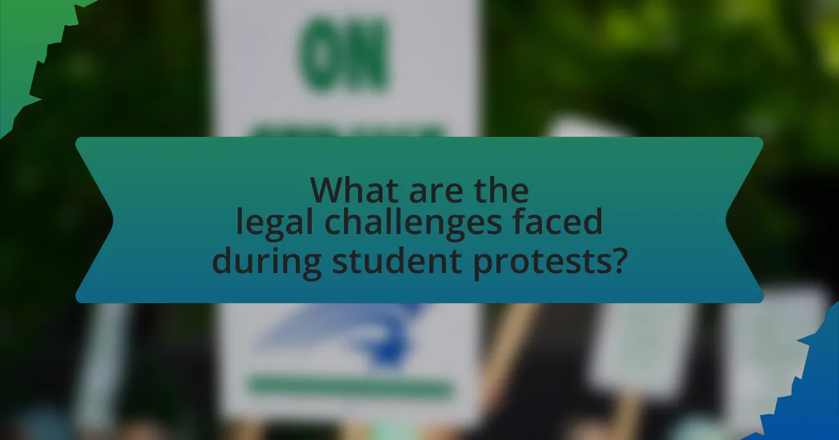 What are the legal challenges faced during student protests?