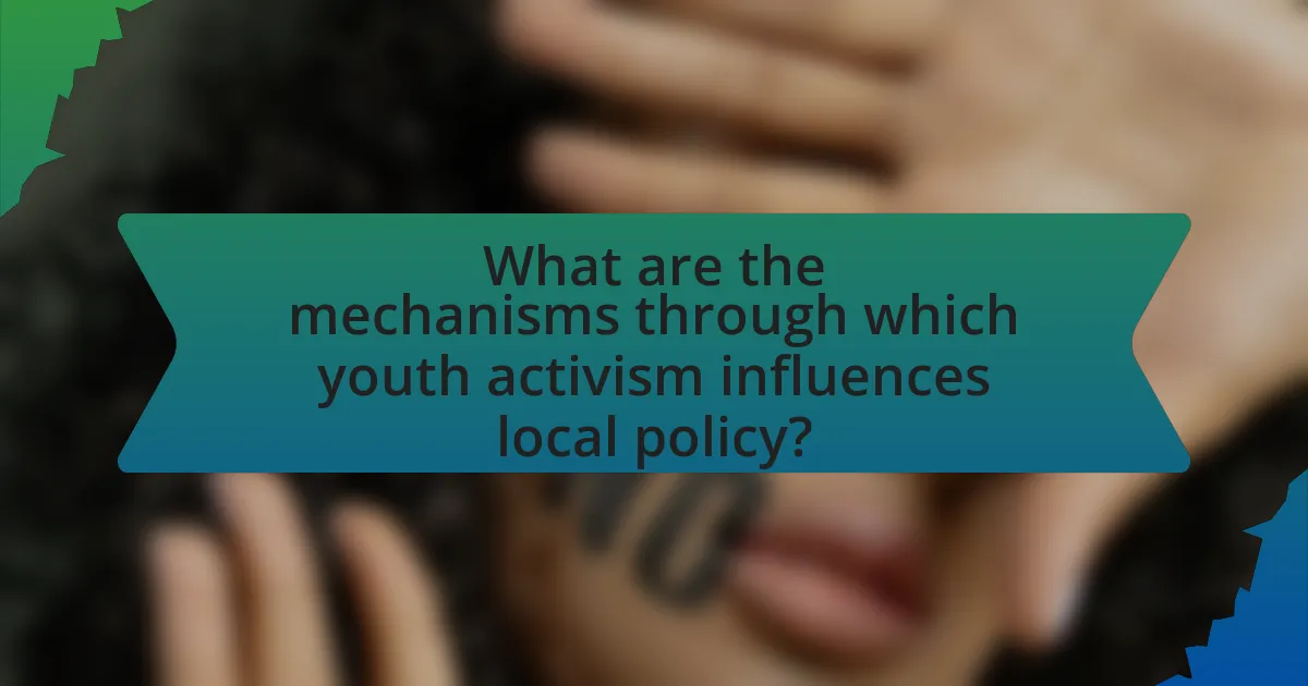 What are the mechanisms through which youth activism influences local policy?