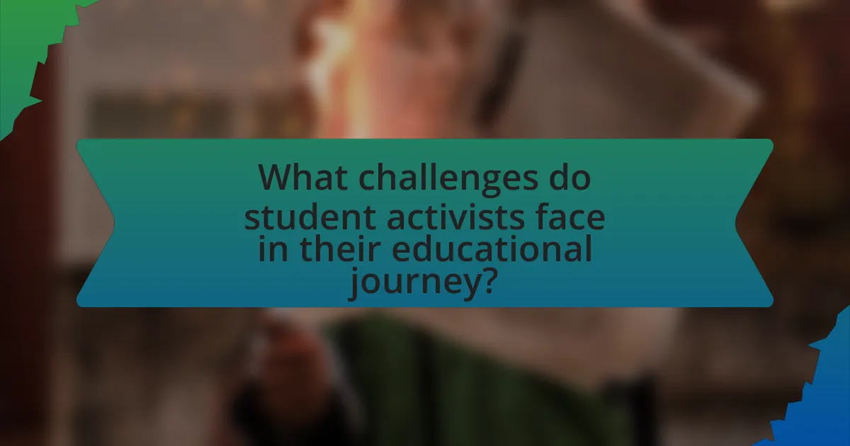 What challenges do student activists face in their educational journey?