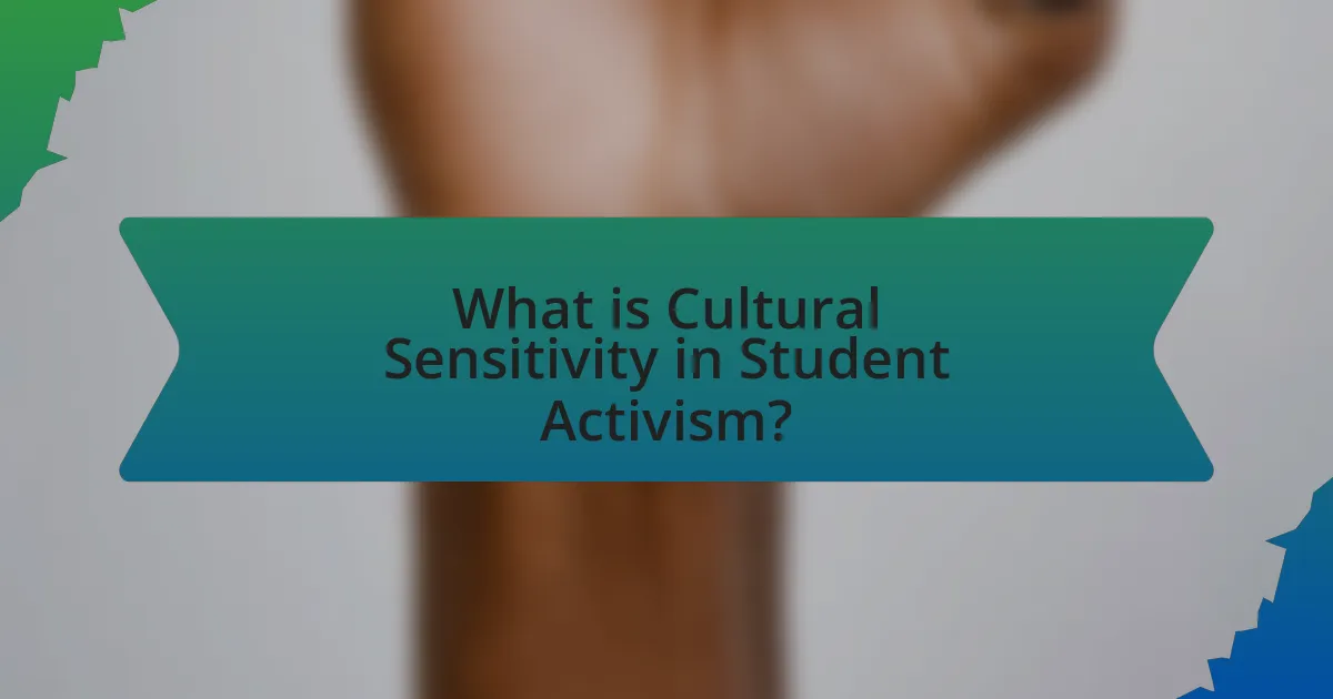 What is Cultural Sensitivity in Student Activism?
