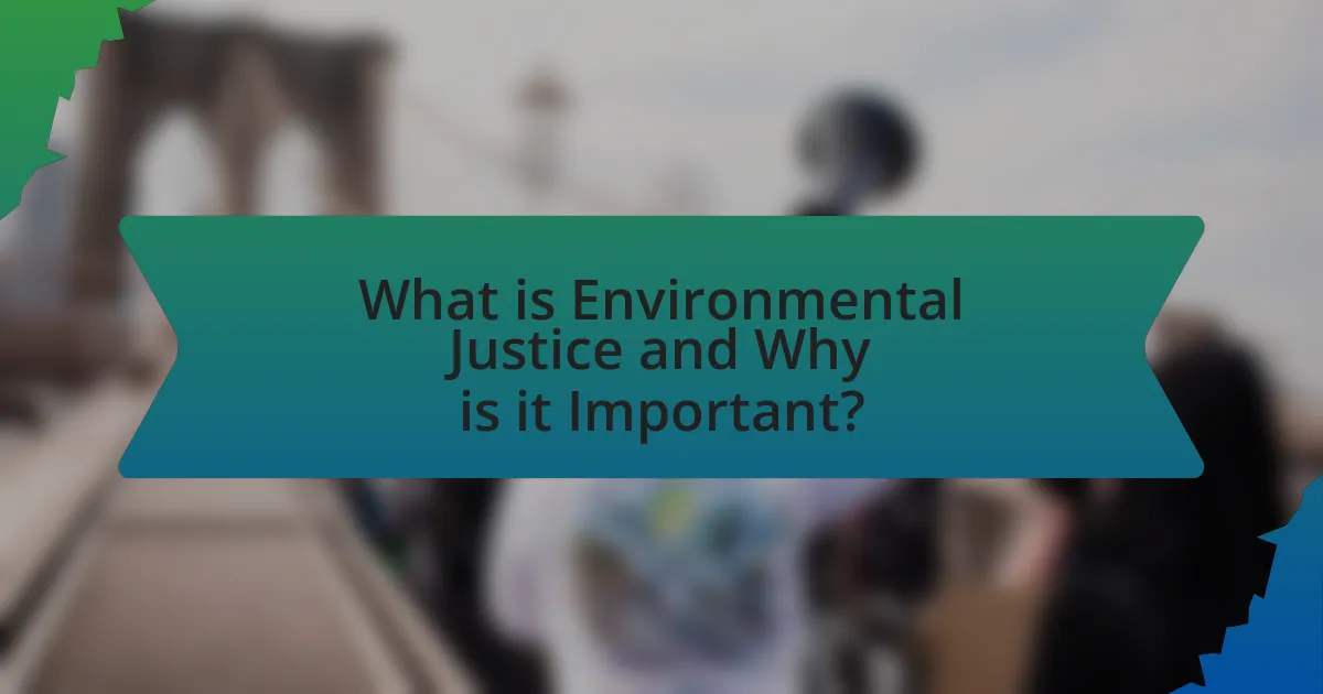 What is Environmental Justice and Why is it Important?