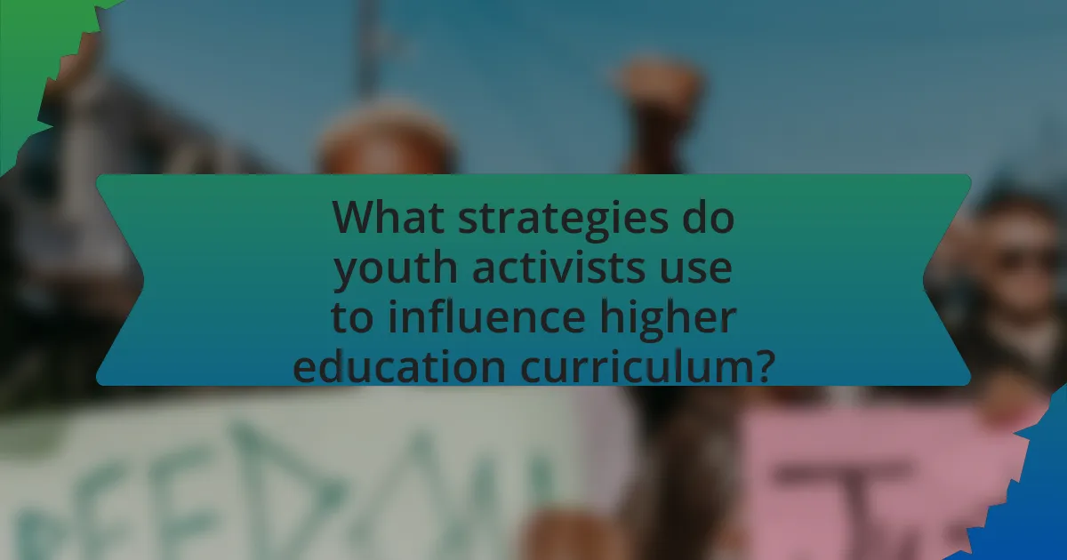 What strategies do youth activists use to influence higher education curriculum?